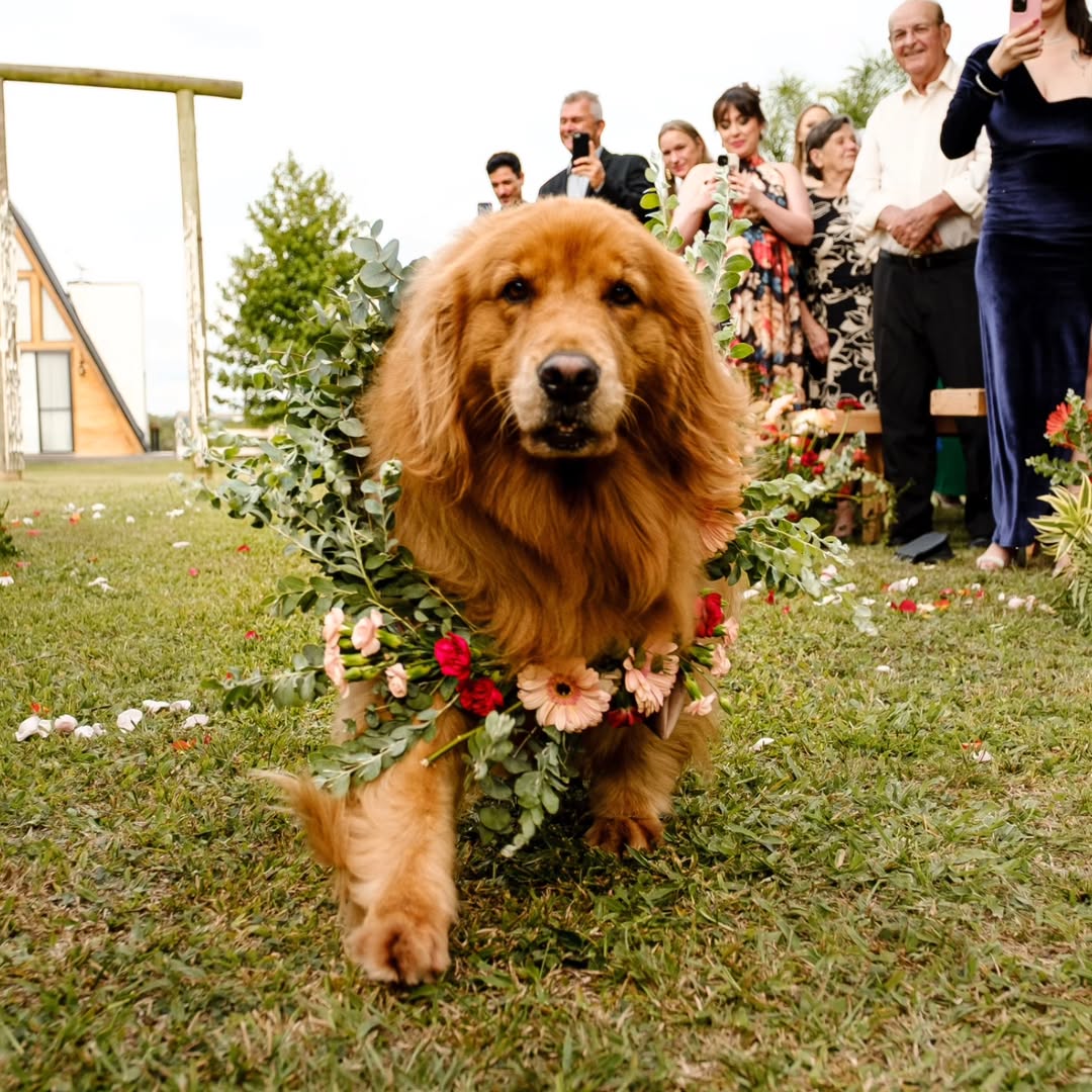Casamento 2